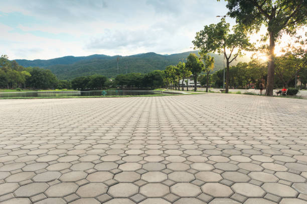 Best Concrete Paver Driveway  in Colfax, LA